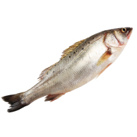wecook味库 国产开背三去海鲈鱼（去鳞去鳃去内脏） 300g-400g/条 *3条装 深海鱼