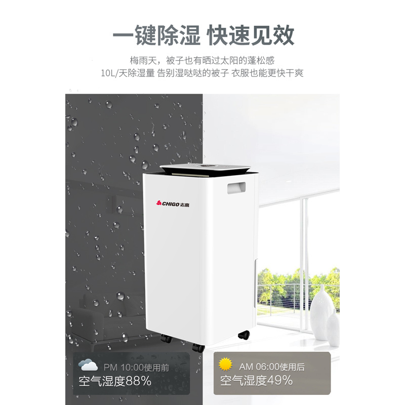 志高(CHIGO)家用除湿机卧室除潮抽湿机 室内除湿器吸湿干燥负离子净化吸湿器地下室去湿FD1080白色