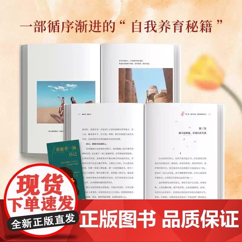 重新养一遍自己 周Rich 富养自己二次长大 像大人一样生存像孩子一样生活 自我养育秘籍 人生心灵疗愈书籍正版FX高清大图