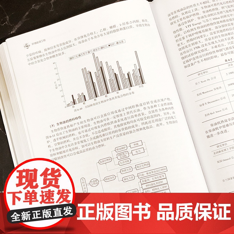 正版 环境能源工程 廖传华 环境保护能源化利用技术 有机废弃物能源化利用 能源清洁利用工具书 高等学校新能源化工环境科学高清大图