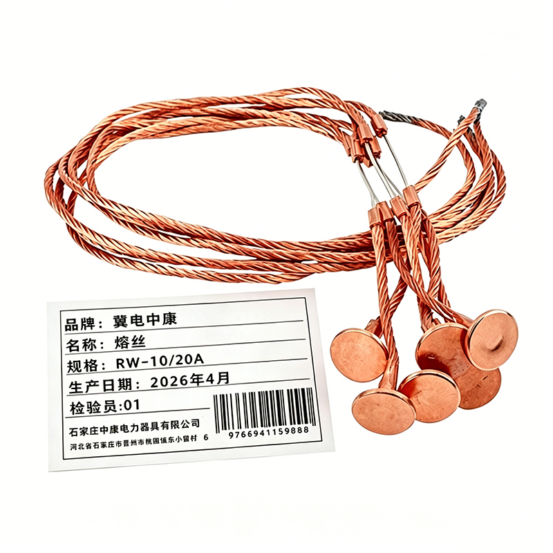 冀电中康 熔丝 RW-10/20A 根高清大图