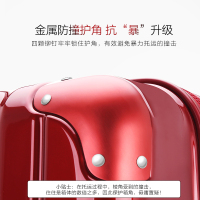 爱华仕(OIWAS)旅行箱拉杆箱行李箱商务密码箱20寸飞机轮登机箱24寸万向轮拉杆箱PC+ABS 6379