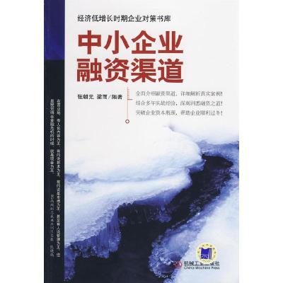 11中小企业融资渠道(经济低增长时期企业对策书库)9787111259190