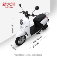 新大洲电动车 PARRAY小龟王60V电动轻便摩托车PR600DQT-4A E1