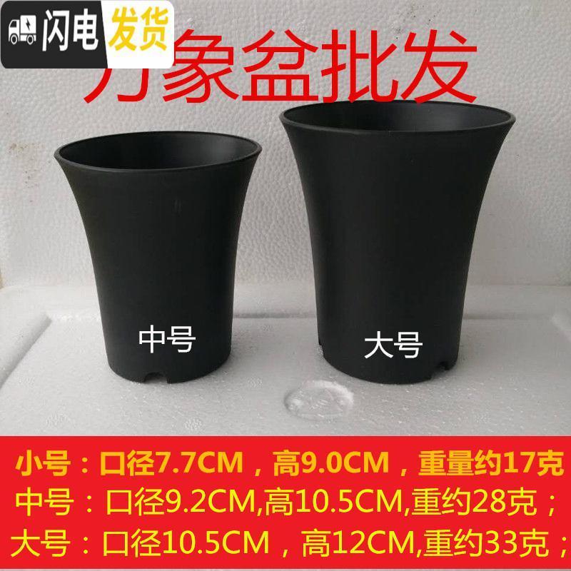 三维工匠万象盆大棚多肉植物12卷玉露老桩花盆黑色磨砂高腰盆加厚塑料 圆万象盆大号30个 小花盆容器