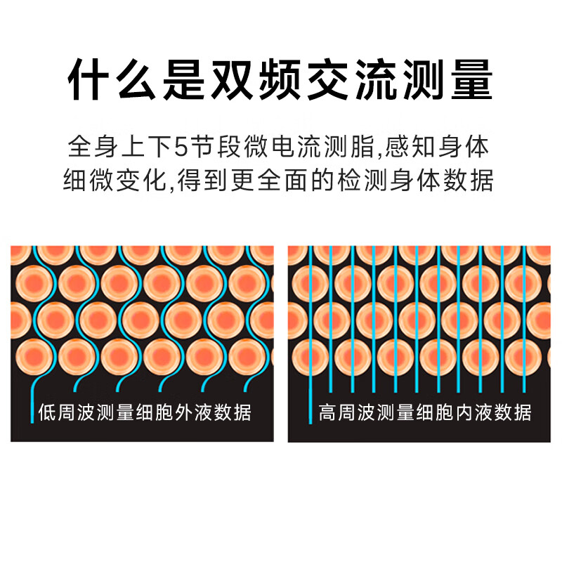 沃莱专业八电极体脂秤健身体重秤家用人体健康监测电子秤 APP数据健康体脂仪FG2001UWB灰色高清大图