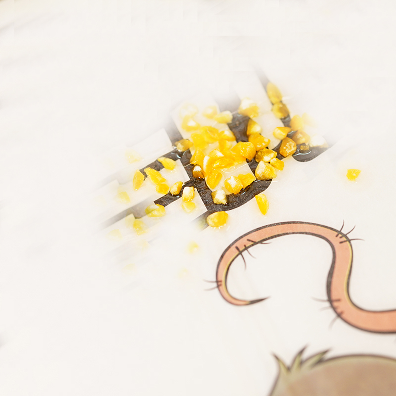 海亚森TK-DZG14强力粘鼠板5片装 杀虫剂(计价单位:套)高清大图