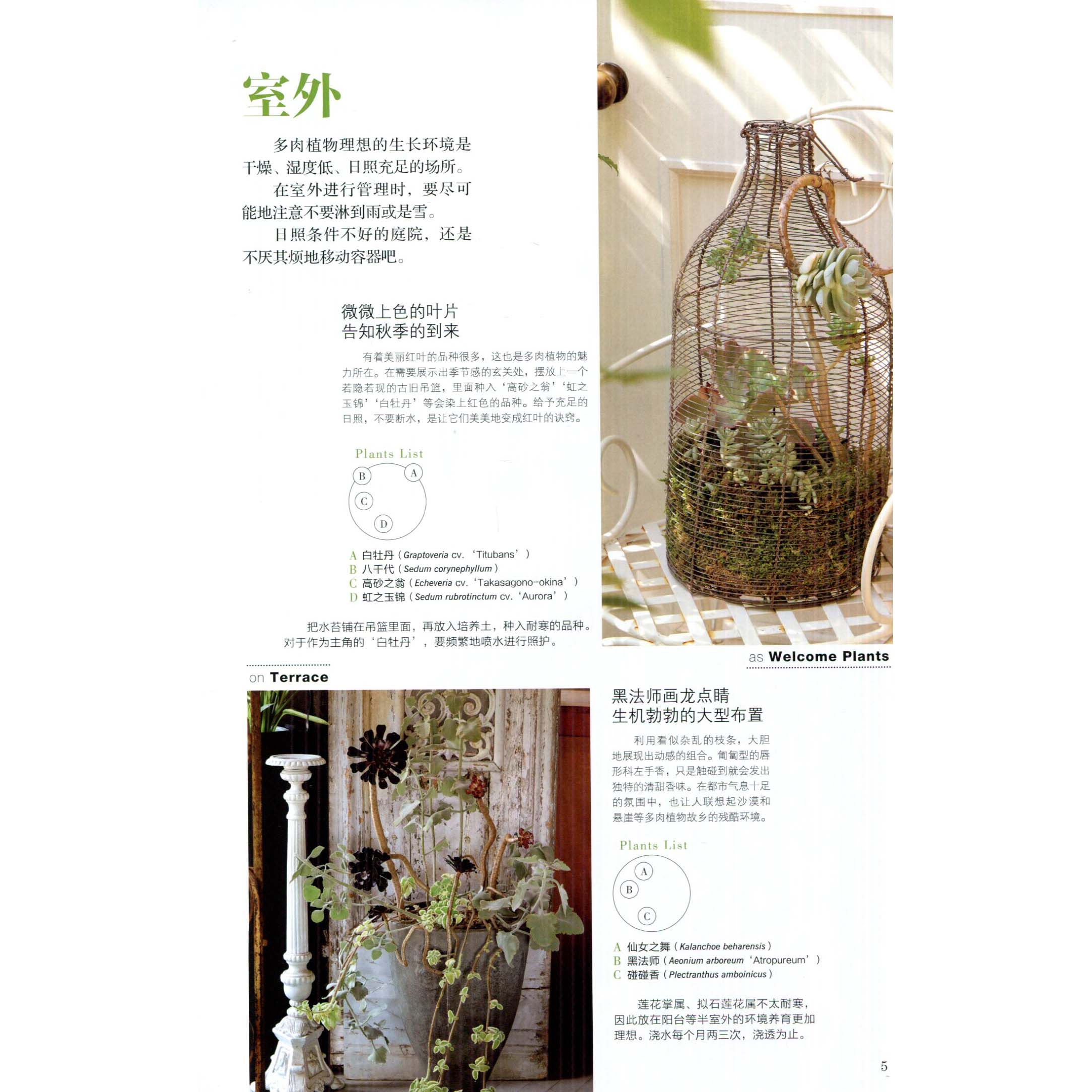 [正版图书]花园mook办公室盆栽种植书籍大全阳台花园木村卓功种植书园林植物书籍阳台花园布置设计园艺书花园mook绿手指高清大图