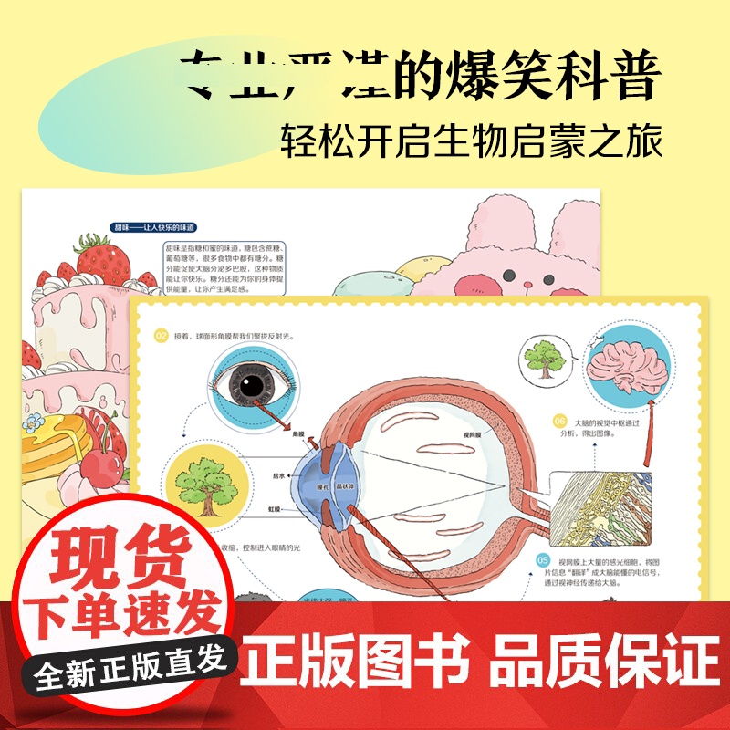 疯狂的感觉全6册视觉听觉嗅觉味觉触觉情绪感觉人体科普漫画爆笑趣味6-12岁小学生课外阅读漫画书洋洋兔生物启蒙书籍正版高清大图