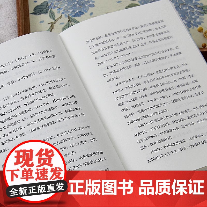 正版人生有解苏东坡王海侠著中国人心中的千古风流人物用苏东坡戒掉你的精神内耗收录苏东坡代表性诗词文作品双封裸脊设计人物传记高清大图
