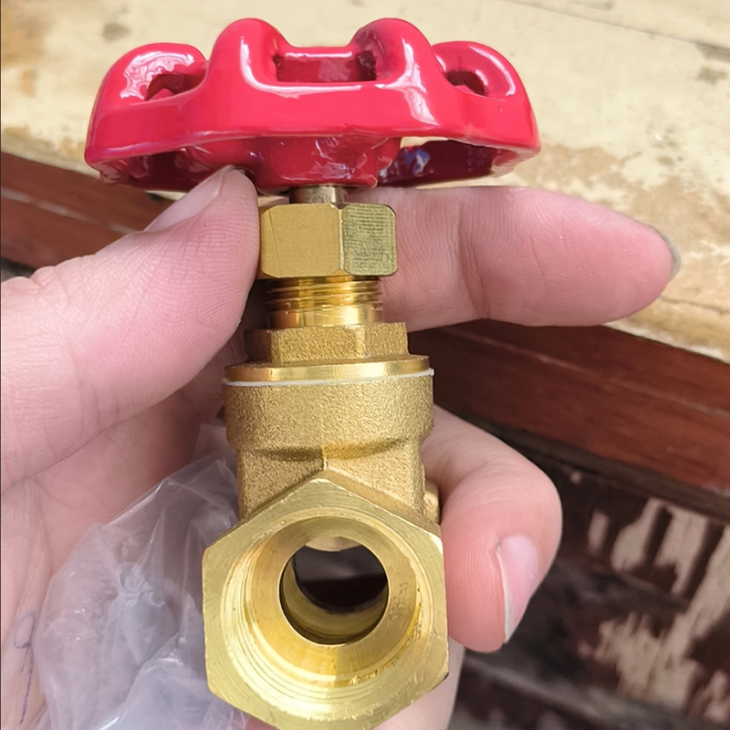 洋蝲蝲 阀门 DN20 单位:个高清大图