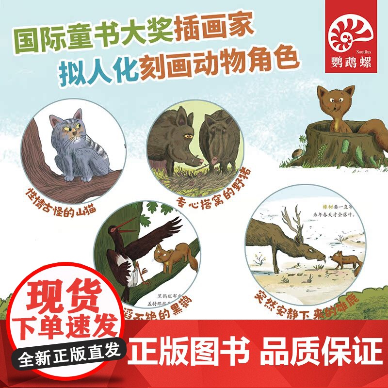 藏在森林里的生命 认识全球不同森林里的生命)鹦鹉螺高清大图