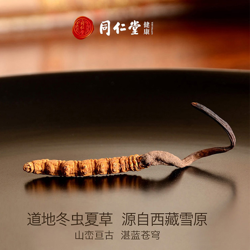 北京同仁堂冬虫夏草507克