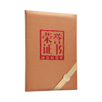 齐心 C5109 特种纸荣誉证书12K 金 10本/包（单位：包）-