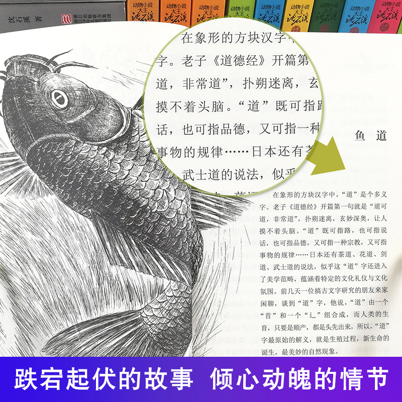 兵猴传奇 [正版]沈石溪动物小说大王品藏书系全集十大经典狼王梦后一头战象狼国女王斑羚飞渡红飘带狮王第七条猎狗白象家族精品