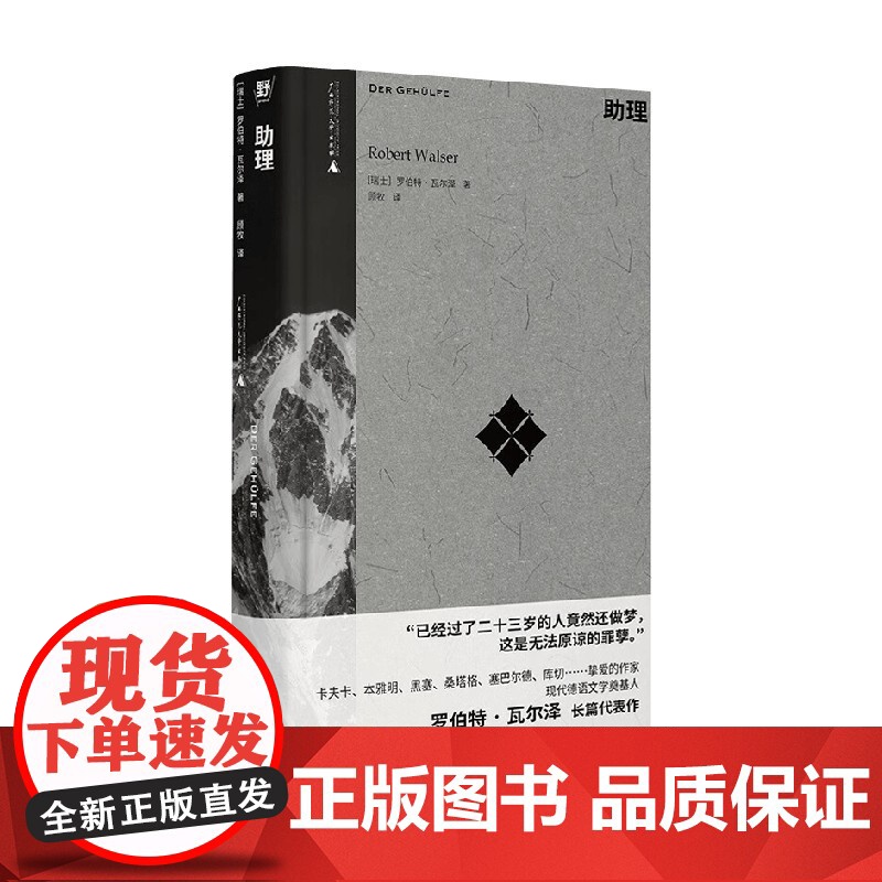 助理 罗伯特·瓦尔泽 著 小说