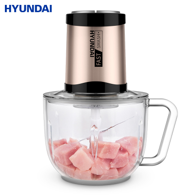 Hyundai绞肉机家商用电动不锈钢小型大容量多功能搅碎菜馅辣椒[玻璃碗标准款+真空泵]