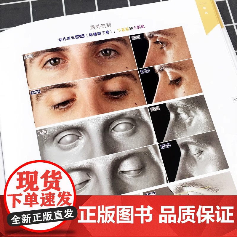 艺用表情结构 黄朝贵哥 艺用人体结构色彩与光线译者伯里曼人体结构教学理解人体形态人物素描人体结构书人体面部表情结构教学教高清大图