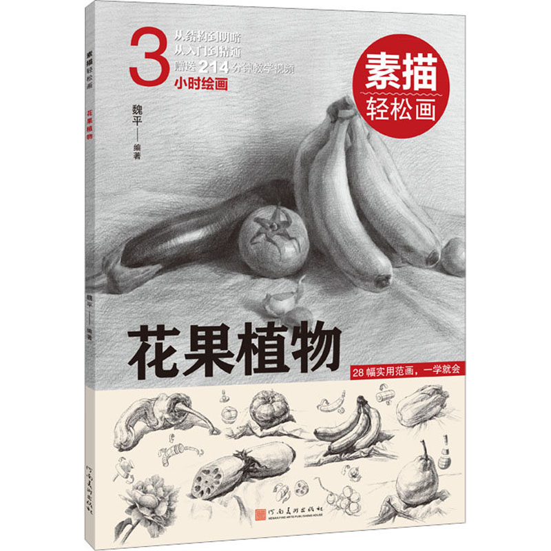 [M]素描轻松画 花果植物-9787540155209高清大图
