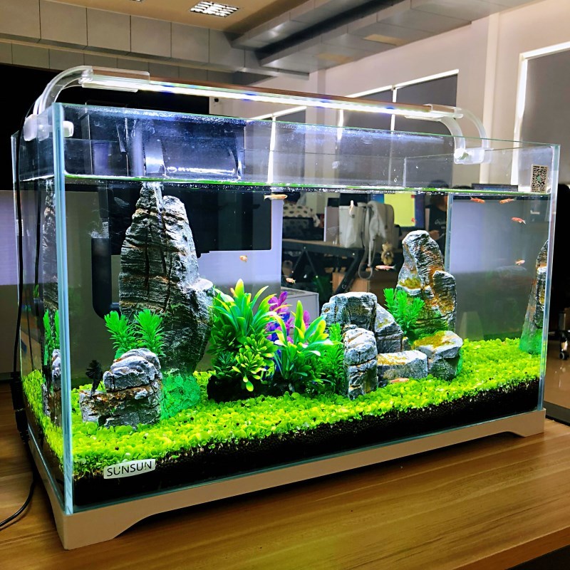小金鱼缸小型水族箱超白玻璃客厅生态水缸 乌龟缸造景缸高清大图