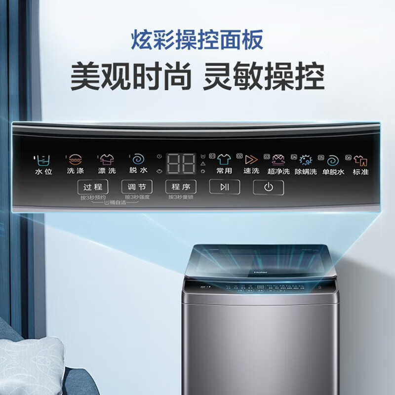 海尔(Haier)10公斤 大容量 变频 全自动 家用 波轮洗衣机 除菌螨 1级能效 XQB100-BZ316
