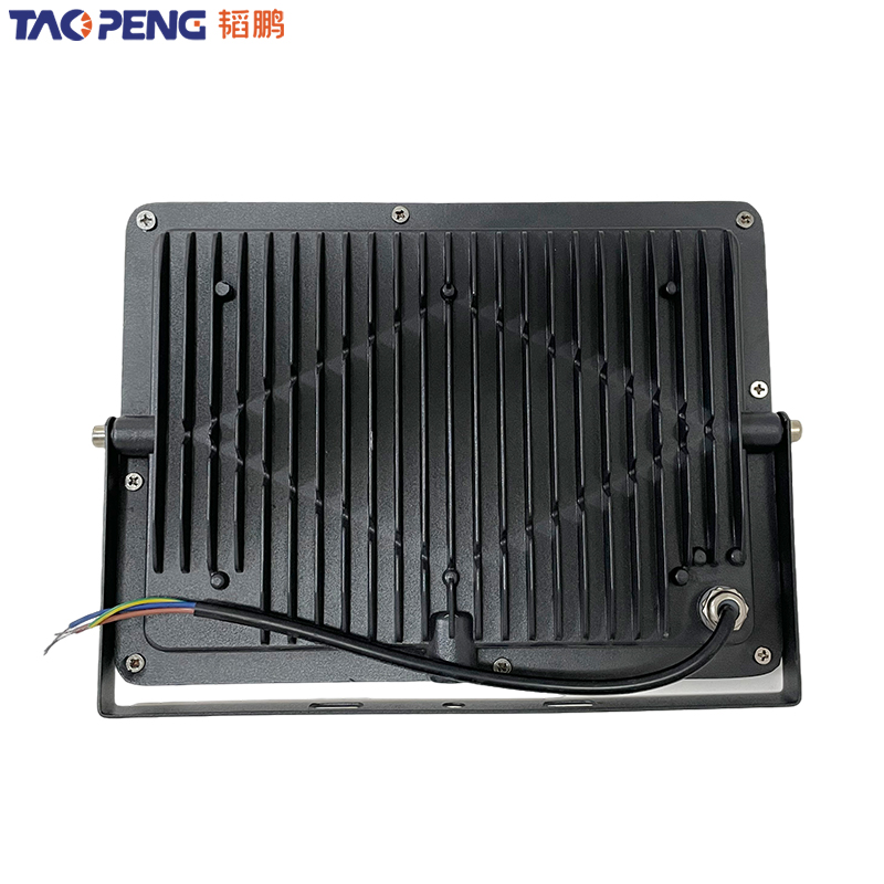 韬鹏 投光灯 50W 个高清大图