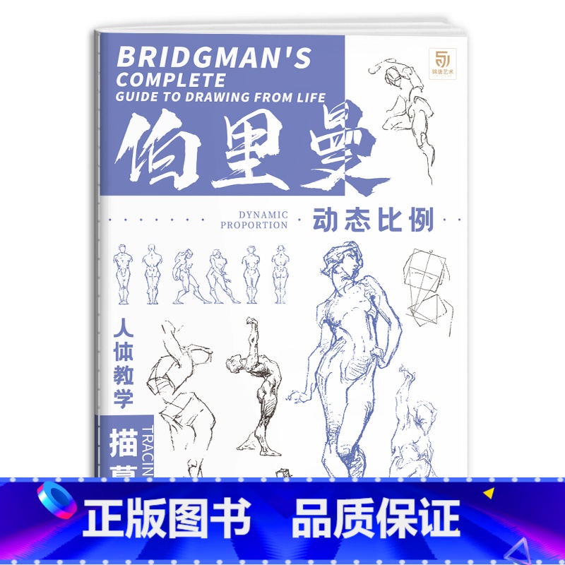 [正版]伯里曼 动态比例 篇 人体教学描摹本 伯里曼人体结构临摹描摹练习册 素描人体结构速写基础自学描摹练习册高清大图