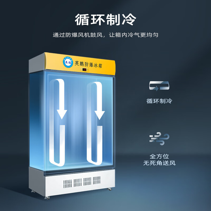 英鹏(GYPEX) BL-200LC1200L 防爆冰箱冷藏柜1200L 实验室科研化学品试剂存放储存 1200L