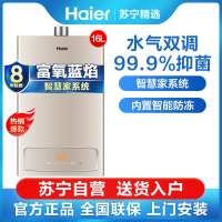 Haier/海尔燃气热水器JSQ31-16YK3(12T) 16升 水气双调 智能记忆 梦幻金外观 智能随温感