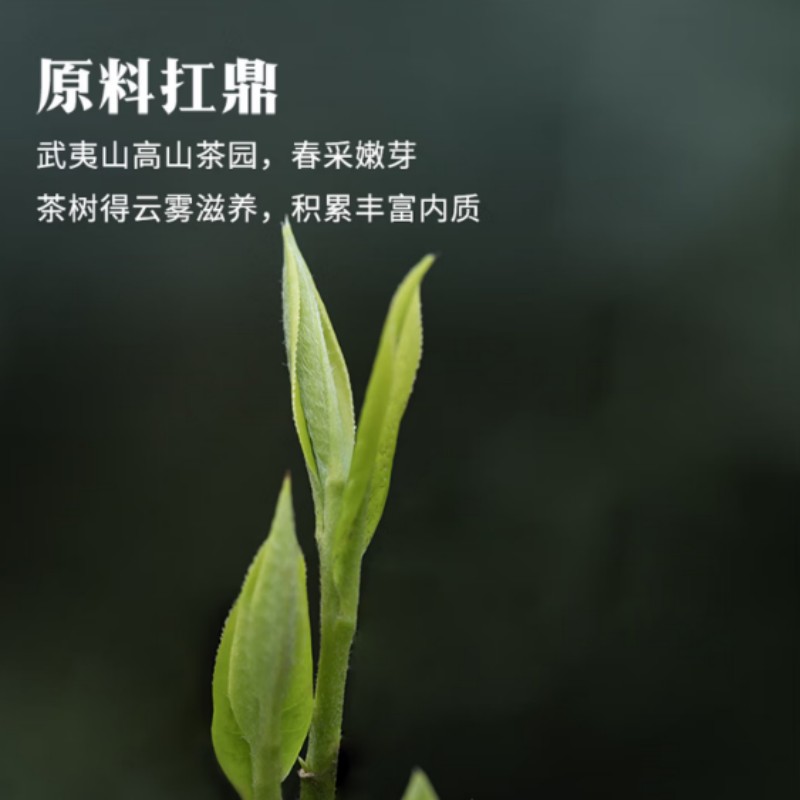 八马茶业[鼎红1000]武夷红茶正山小种茶叶送礼礼盒192g高清大图