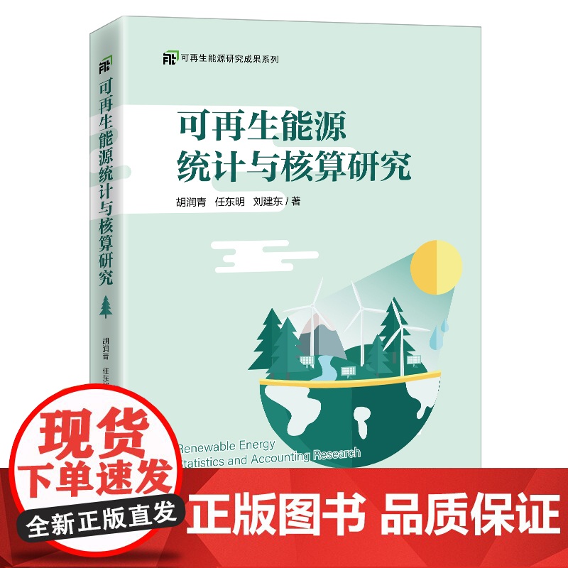 可再生能源统计与核算研究高清大图