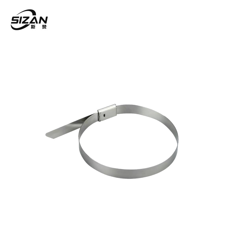 斯赞 304不锈钢自锁式扎带 15*600mm 根