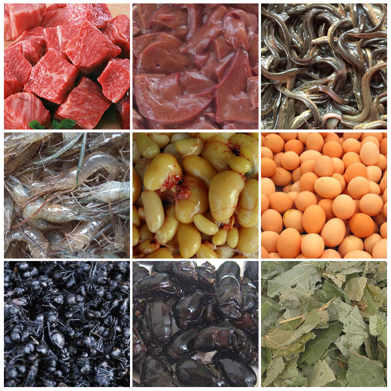 画眉鸟食饲料换毛专用料画眉饲料斗鸟雀王打鸟料唱鸟饲料高清大图