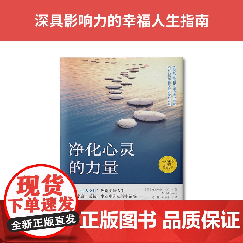 净化心灵的力量:摆脱混乱思维,获得工作、金钱、健康和人际关系高清大图