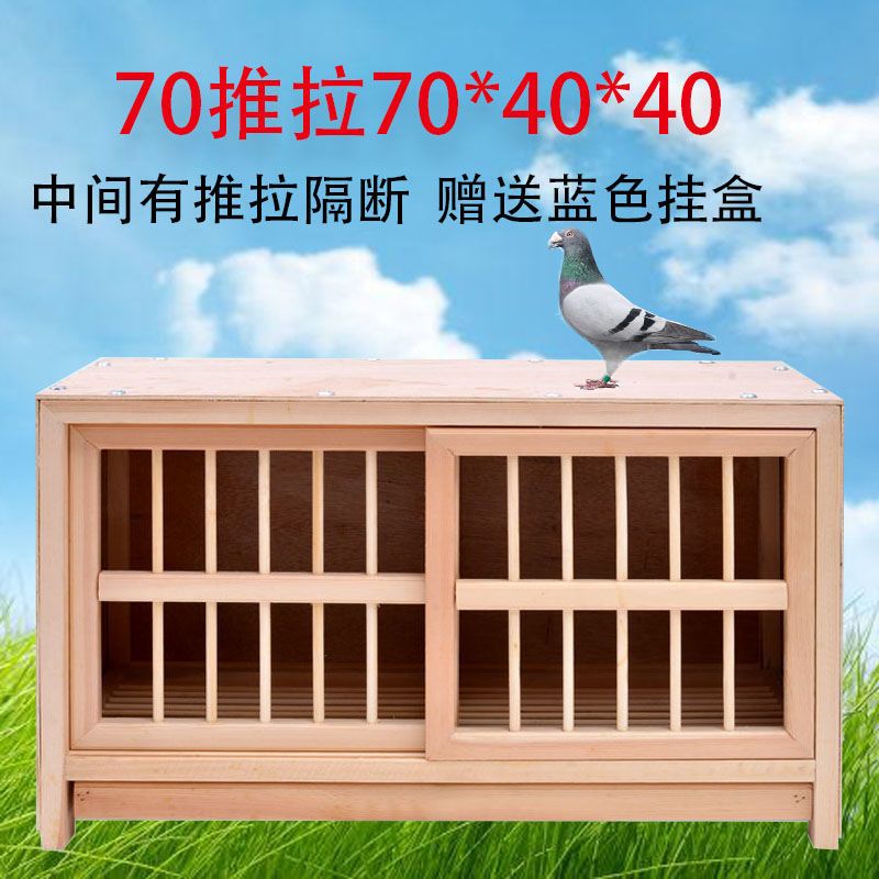 60赛飞603035鸽子配对笼赛鸽实木赛飞种鸽鸽具巢箱养殖鸽鸽舍公棚专用
