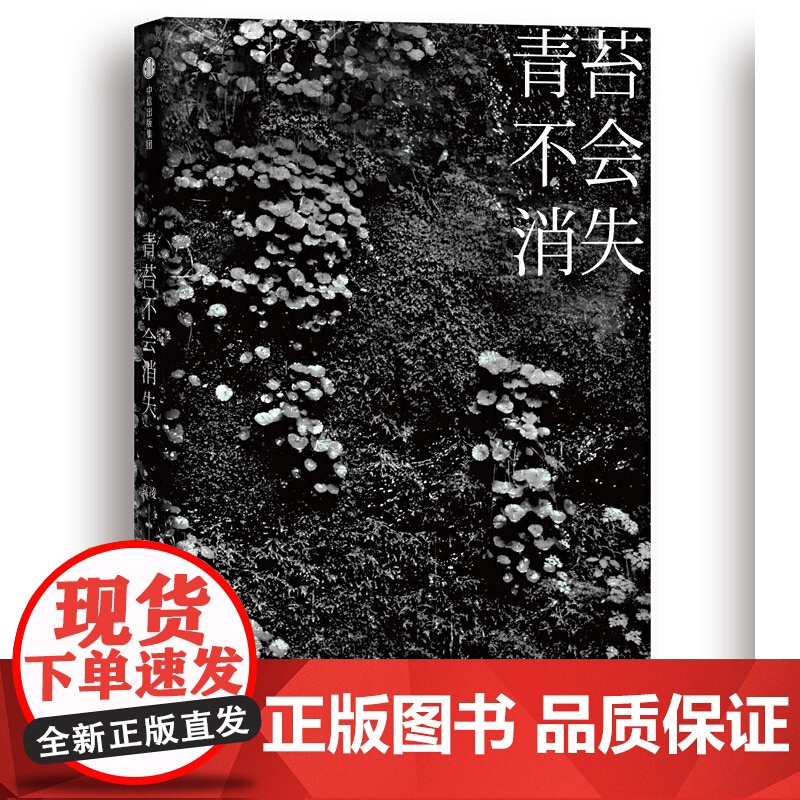 青苔不会消失 袁凌著 只要世上还有一个穷人 袁凌 著 柴静、胡舒立 12个惊心动魄的灵魂故事 现代文学书高清大图