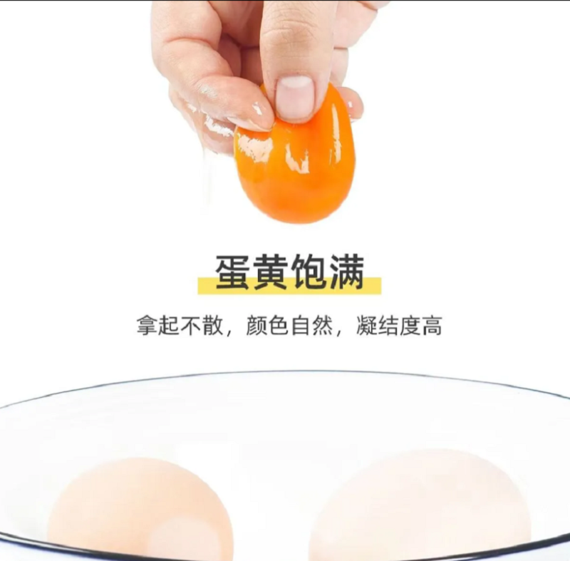 芮瑞正宗山林散养谷饲喂养虫草鸡蛋 10枚装 商品不支持无理由退款 不支持拒收高清大图