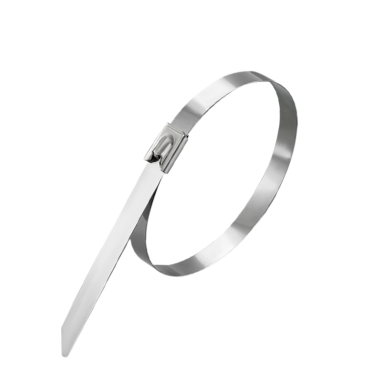 鸿启纳 304不锈钢扎带金属强力卡扣自锁式收紧23122502 4.6mm*150mm (100根/包)高清大图