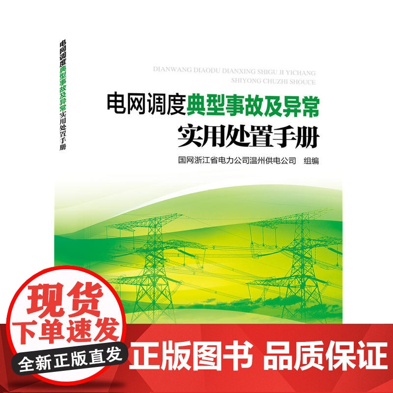 电网调度典型事故及异常实用处置手册高清大图