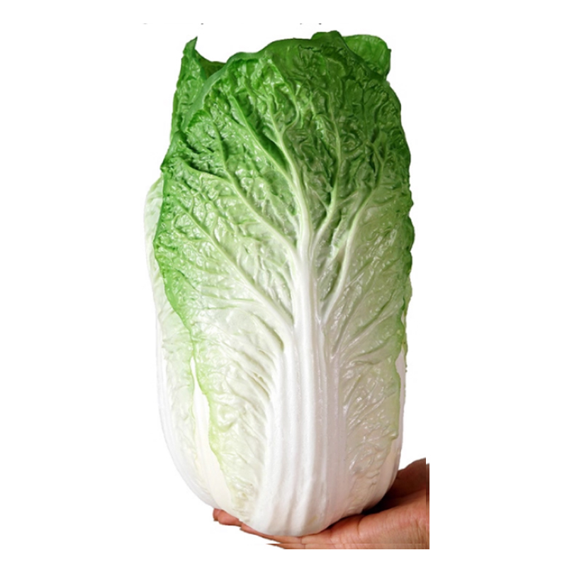 “仿真大号水果蔬菜模型假大草莓南瓜辣椒桃橙子哈蜜瓜摄影装饰道具 颜色分类:大白菜青”高清大图