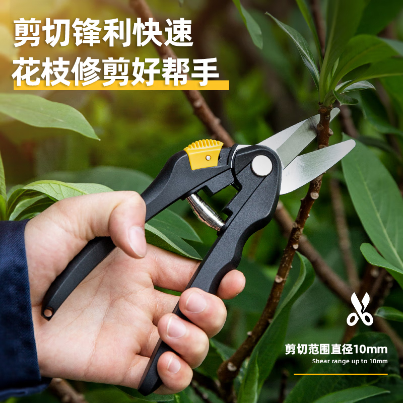 得力(deli) DL580101花枝剪