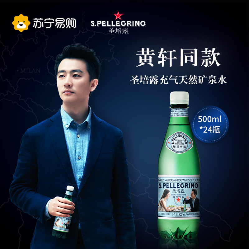 圣培露 充气天然矿泉水塑料瓶装 500ml*24瓶