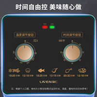 利仁(Liven)绿洲系列空气炸锅家用多功能无油电炸锅 2L容量空气热循环 煎烤烘烤牛排无油烟烘焙甜点薯条机G-12