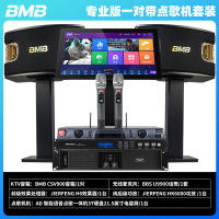 BMB CSV900家庭ktv音响套装 家庭唱歌音响套装高端卡拉OK音响 12英寸包房音响定金链接