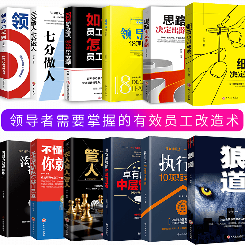 [正版图书]12册 企业管理书籍 不懂带团队你自己累 中层管理者 营销管理酒店餐饮物业企业管理学书籍领导力销售管理类管理