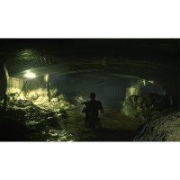 索尼(SONY) PlayStation PS4游戏光盘 生化危机2 中文字幕 港版