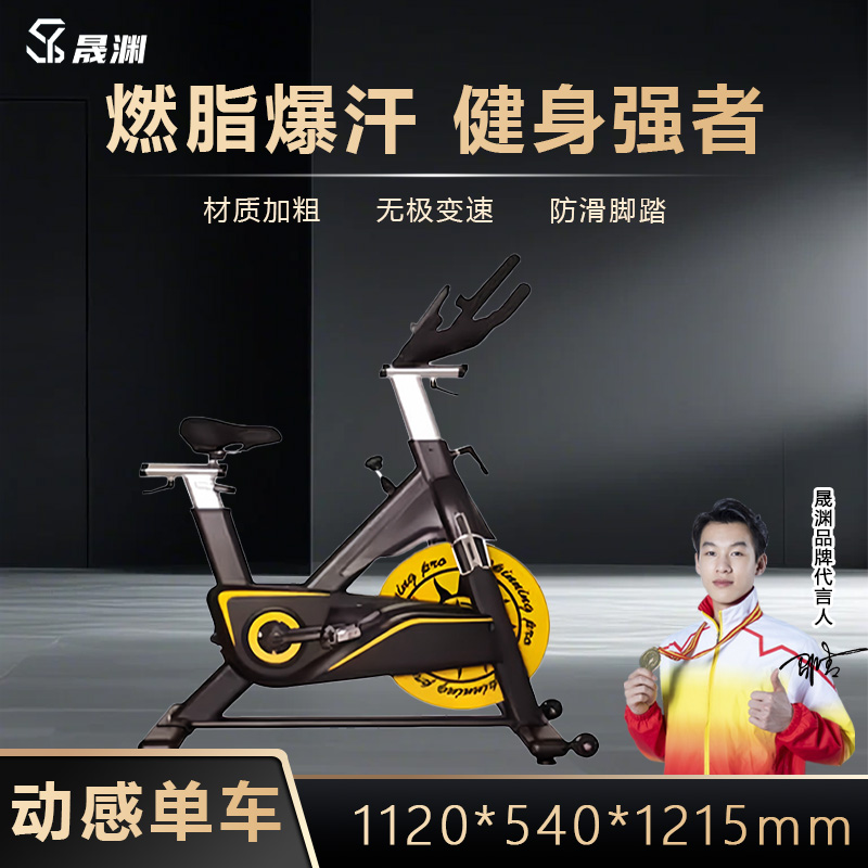 晟渊 动感单车室内家用磁控健身车静音运动自行车YP2133