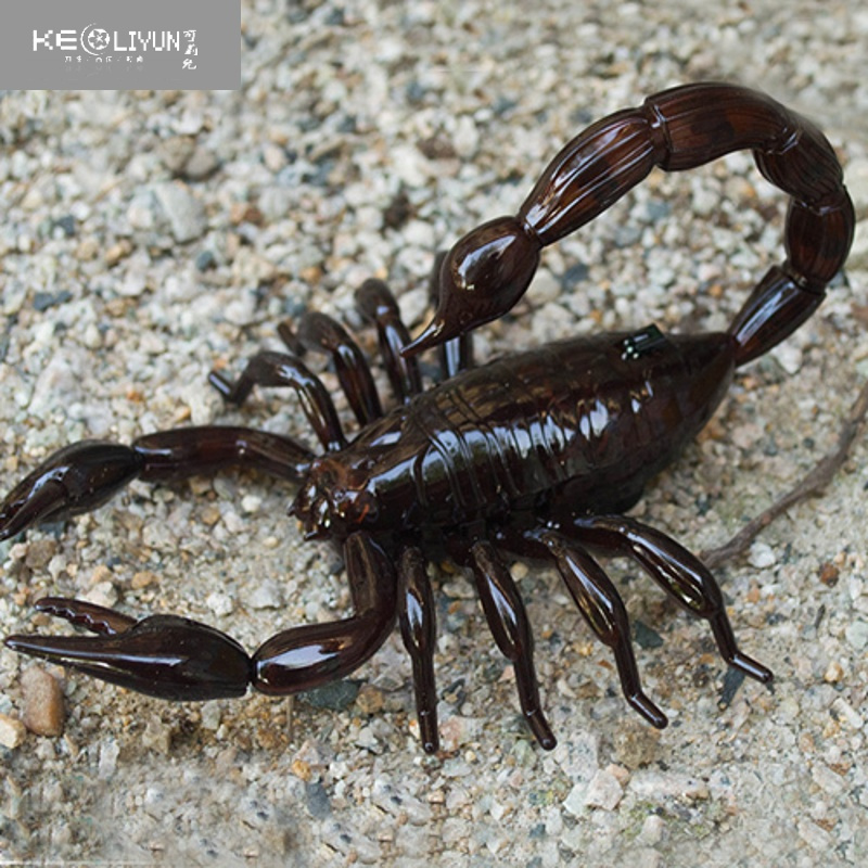 敬平遥控蝎子玩具仿真动物模型电动毒蝎儿童礼物男孩新奇玩具遥控瓢虫