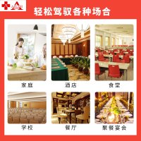 埃利斯（AILISI）138L立式家用商用高温二星级 厨房碗筷餐具茶杯双门大容量触摸款ZTP-138C1
