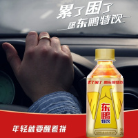 东鹏特饮维生素功能饮料250ml*2小瓶便携装熬夜抗疲劳提神饮品